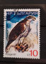 1987 - Bulgarie - Autour des palombes (Accipiter gentilis)