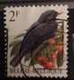 1992 -Belgique -yt1433- Merle noir (Turdus merula) dessiné par André Buzin (1946)