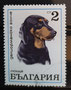 1970 - Bulgarie - yt 1800- chien Pointer 