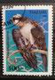 1994 - Tanzanie- yt1648 -Aigle orné (Spizaetus ornatus)