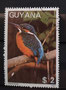 1988 - Guyane - yt1769MC - Martin pêcheur d'Europe (Alcedo Atthis)