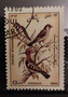 1985 - Afghanistan - yt1224 - Huppe fasciée (Upupa epops) Gorgebleu à tête noire (Luscinia svecica) Chardonneret élégant (Carduelis carduelis)