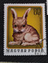 1974 - HONGRIE - yt 2406 - Lièvre d'Europe (Lepus europaeus) dessiné par Gal Ferenc