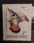 1985 -Hongrie - yt 2984 - Pic flamboyant (Colaptes Cafer) dessiné par Kincses d'après un tableau de John James Audubon (1785-1851)