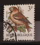 1985 -Belgique - yt2186 - Gros bec casse- noyaux (Coccothraustes coccothraustes) dessiné par André Buzin (1946)