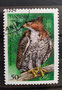1994 - Tanzanie - yt1648 - Aigle orné (Sîzaetus ornatus)