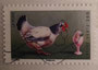 2004 - FRANCE - Carnet de timbre - Poule en communication
