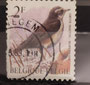 1996 - Belgique - yv2636 - Grive mauve (grive mauvis ) dessiné par André Buzin (1946)