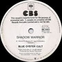 Dancin' in the Ruins / Shadow Warrior - Australia - PROMO - B