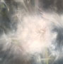 Last Dandelion / 2023 / Öl auf Leinwand / 30x30cm