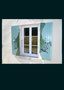 Volets de fenêtre peints: ornements peints et effets de matiére