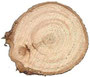 31  THUJA