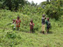 Bwindi Nationalpark