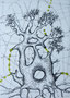 "Torus Tree" | 2009 | Acrylic inks on synthetic vellum |  8.25 x 11.5 in (210 x 297 mm)