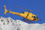 AS 350 der heimischen Helibernina.