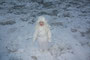 Fantasie & Wirklichkeit Fotografien und Gedichte Kathrin Steiger Winter Schnee Schneefee Schneeelfe Schnee-Elfe Winterfee Winterelfe Fairy Snow Fairy Fairies