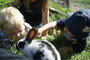 Auf Tuchfühlung mit dem Kaninchen-Baby "Gräschen"