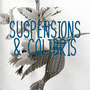 suspensions et colibris, création reliure cousue Marie Donnot, atelier idéEphémère, 64260 Bielle