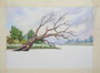Aquarell in Arbeit 2