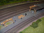 Baustelle Bahnhofsdach, damit wird der Anlagenübergang kaschiert