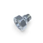 Reduktion Typ2 auf G1/4"  (RE-2-G1/4) 3D-Ansicht