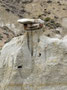 Spiel der Natur 2 - Erosion in den Badlands des Theodore Roosevelt Nationalparks