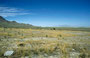 In der Ferne das Fishsprings NWR - südl. der Great Salt Lake Desert (zum Teil occupiert von der US-Army: Dugway Proving Ground)