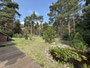 Blick in den Garten