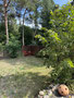 Blick in den Garten
