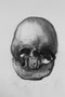 Head , 2021, A1