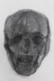 Head , 2021, A1
