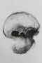 Head , 2021, A1