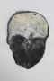 Head , 2021, A1
