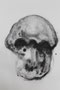 Head , 2021, A1