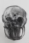 Head , 2021, A1