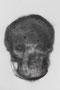 Head , 2021, A1