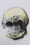 Head , 2021, A1