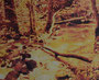 Bord de l'orbize 1, 2025, huile sur toile, 81 cm x 100 cm