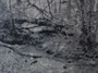 Bord de l'orbize 7, 2025, huile sur toile, 97 cm x 130 cm