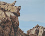 Ile du Levan 1, 2025, huile sur toile, 24 cm x 30 cm