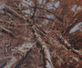 Leiv, 2025, huile sur toile, 85 cm x 102 cm