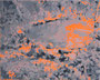 Bord de l'orbize 8, 2025, huile sur toile, 24 cm x 30 cm