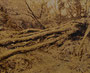 Ciaran, 2025, huile sur toile, 81 cm x 100 cm