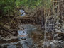 Bord de l'orbize 12, 2025, huile sur toile, Dyptique 260 cm x 195 cm