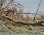 Tempête Ciarán 1, 2025, huike sur toile, 24 cm x 30 cm