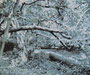 Bord de l'orbize 6, 2025, huile sur toile, 81 cm x 100 cm