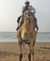 Plage d'Essaouira,sur le dromadaire