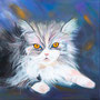 Main Coon (50x50)