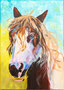 Irish Tinker (50x70)