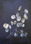 Zauber der Natur (50x70)